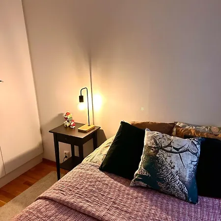 Nordic Penthouse In The